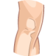 Knees